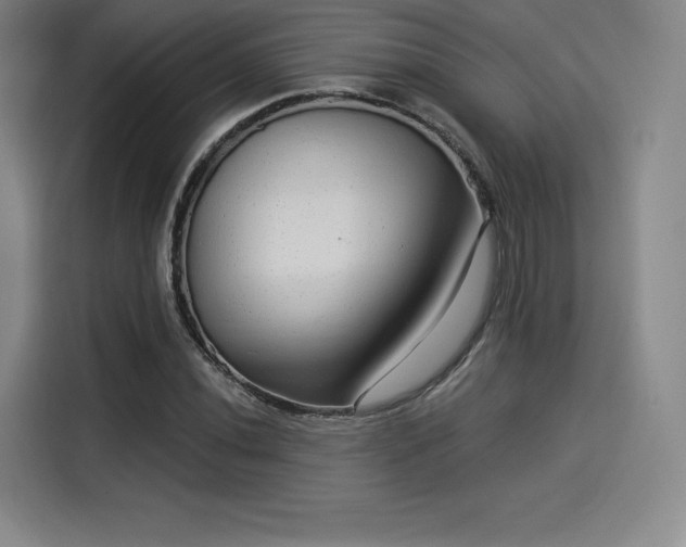 X0000114211020200910161243