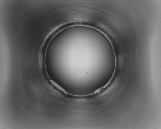 X0000114211021200910161243