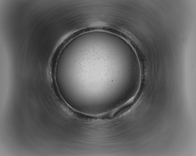 X0000114211022200910161243