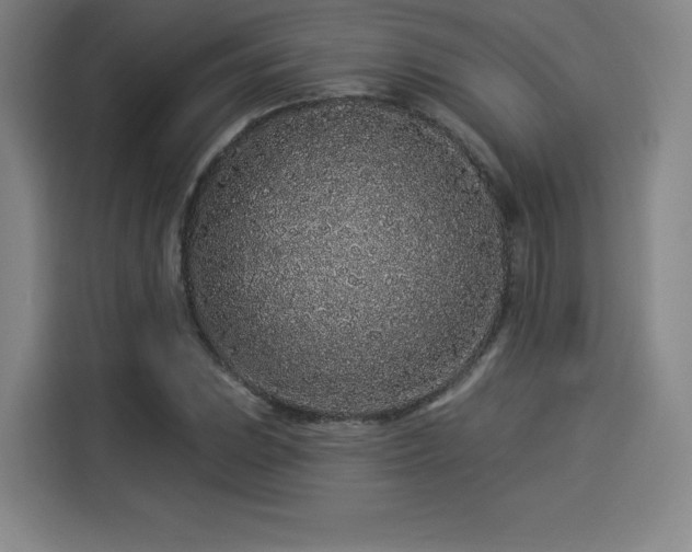 X0000114211023200910161243