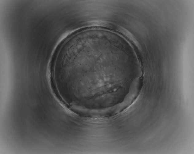 X0000114211024200910161243