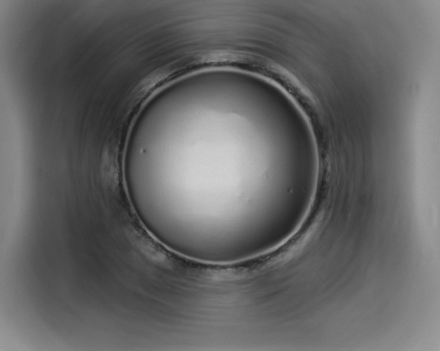 X0000114211025200910161243
