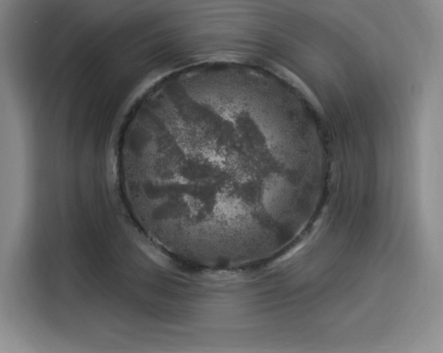 X0000114211027200910161243
