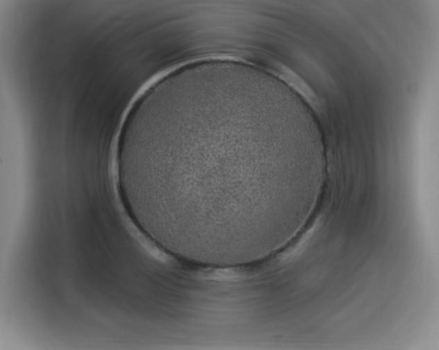 X0000114211028200910161243