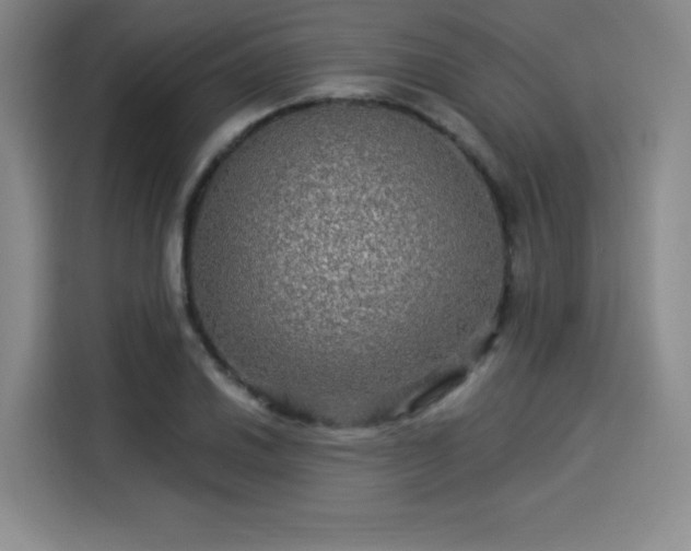 X0000114211030200910161243