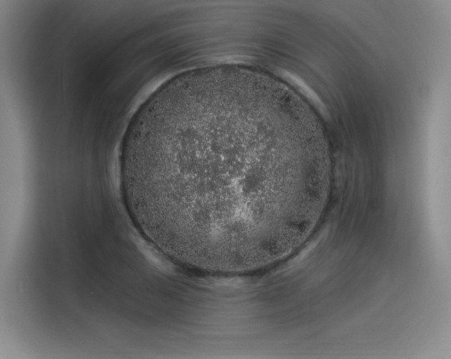 X0000114211031200910161243