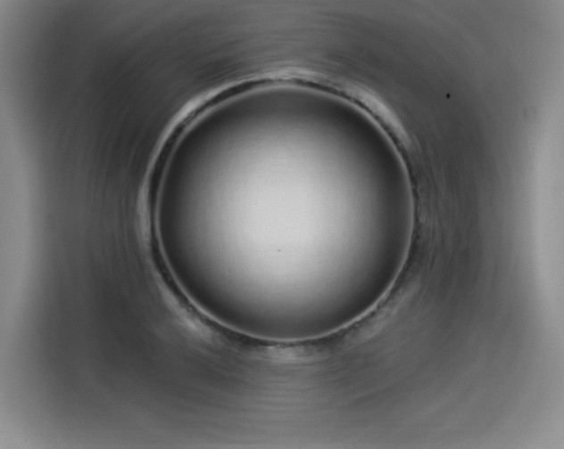 X0000114211032200910161243