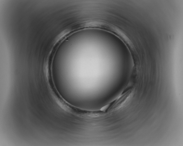 X0000114211034200910161243