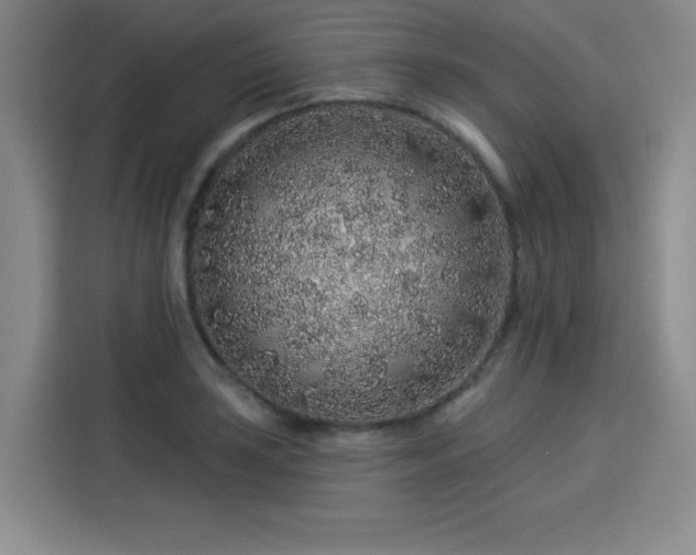 X0000114211035200910161243