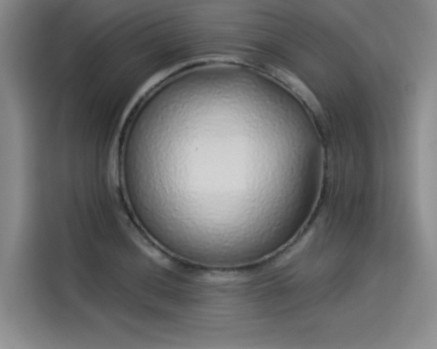 X0000114211036200910161243