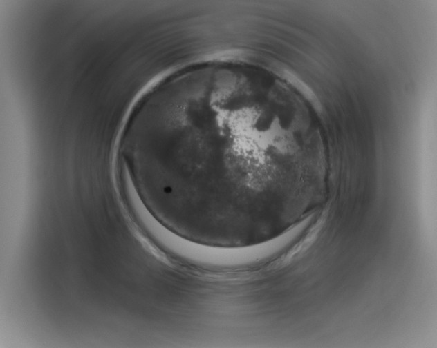 X0000114211037200910161243