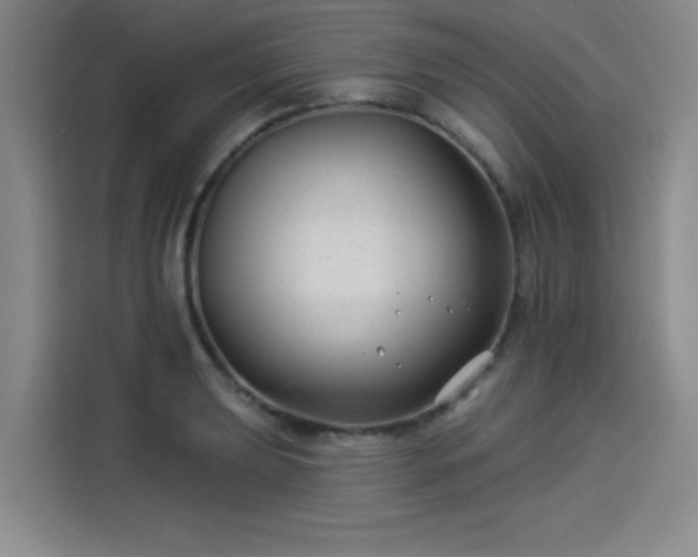 X0000114211039200910161243