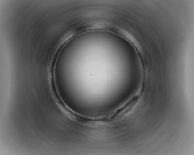 X0000114211042200910161243