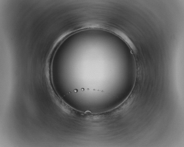 X0000114211051200910161243