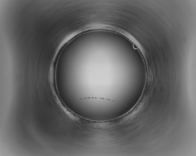 X0000114211053200910161243