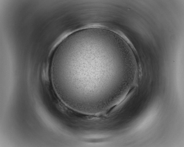 X0000114211054200910161243