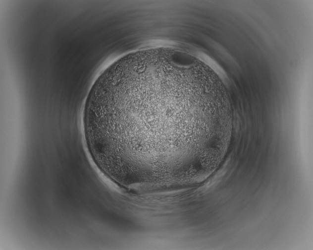 X0000114211055200910161243