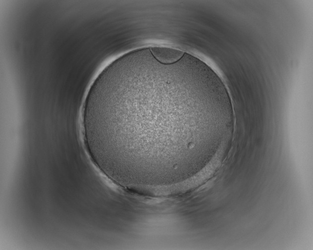 X0000114211056200910161243