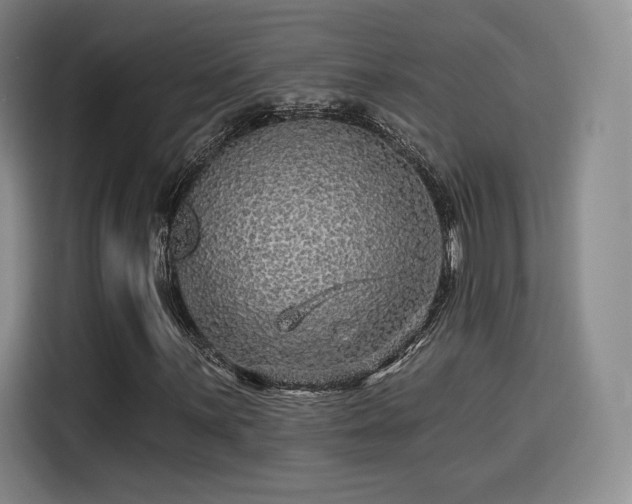 X0000114211059200910161243