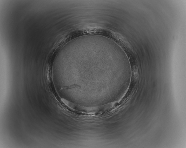 X0000114211060200910161243