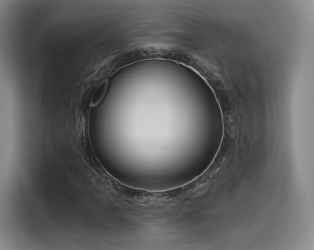 X0000114211061200910161243