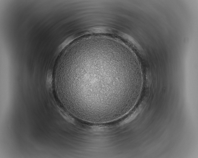 X0000114211065200910161243