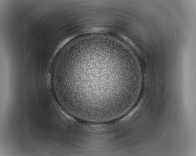 X0000114211066200910161243