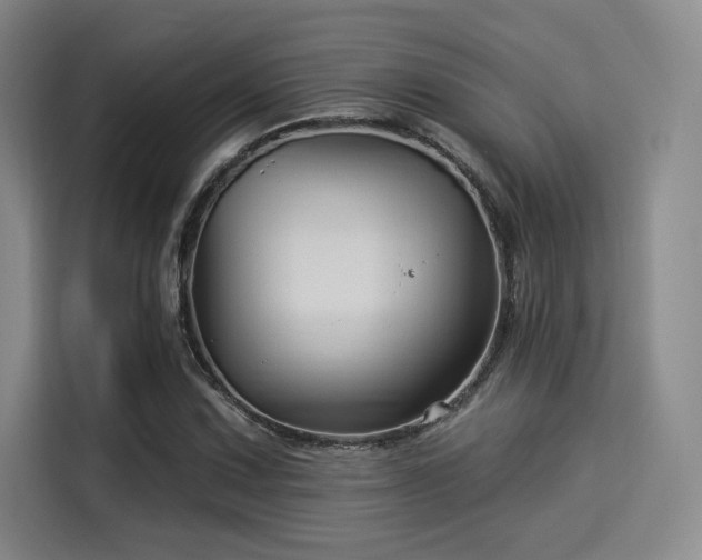 X0000114211067200910161243