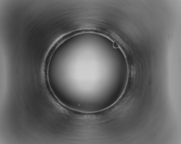 X0000114211068200910161243