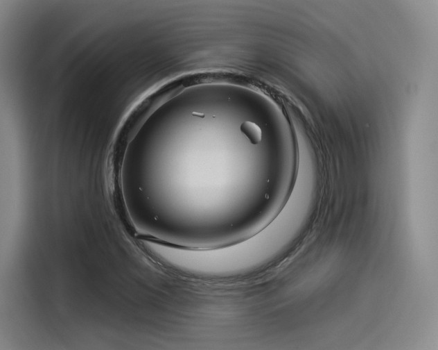 X0000114211069200910161243