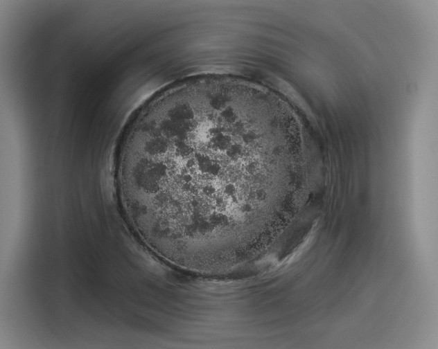 X0000114211071200910161243
