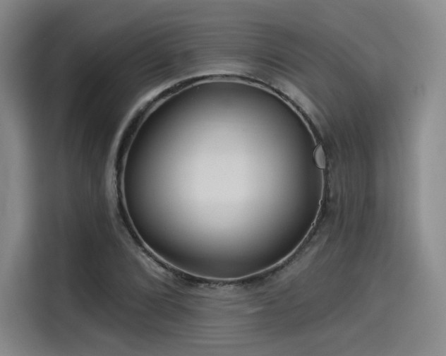 X0000114211072200910161243