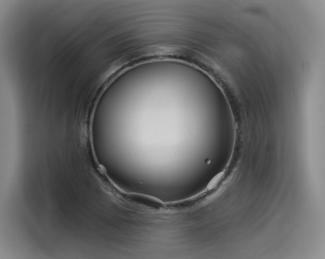 X0000114211073200910161243