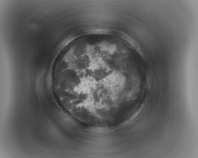 X0000114211074200910161243