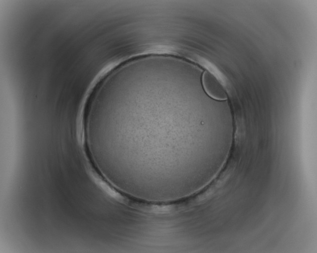 X0000114211080200910161243