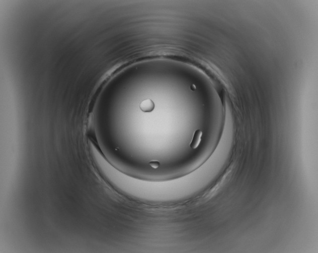 X0000114211081200910161243
