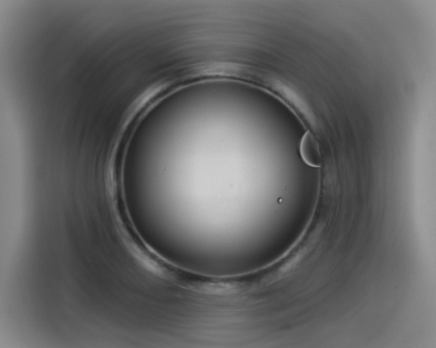 X0000114211082200910161243