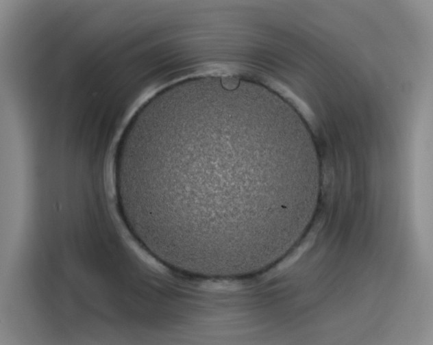 X0000114211083200910161243