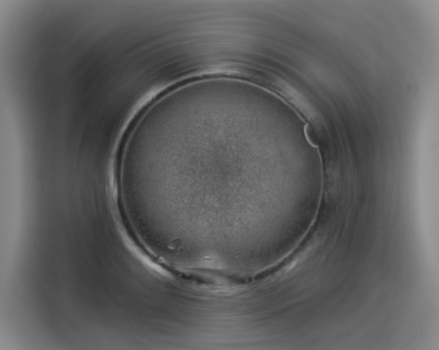 X0000114211084200910161242