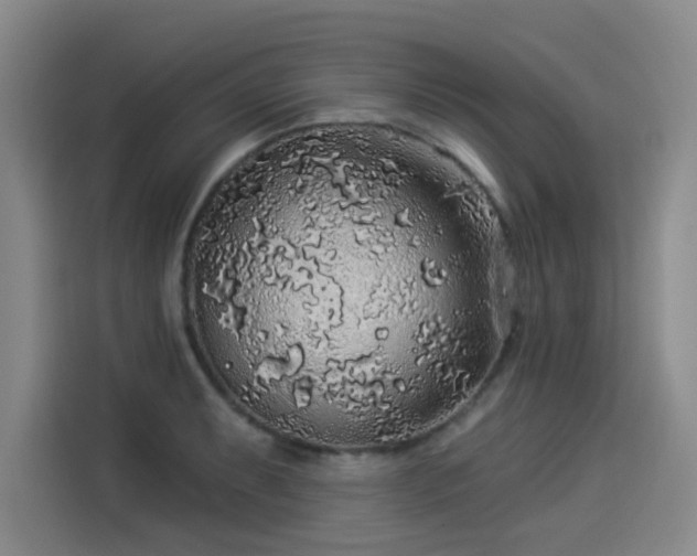 X0000114211087200910161242