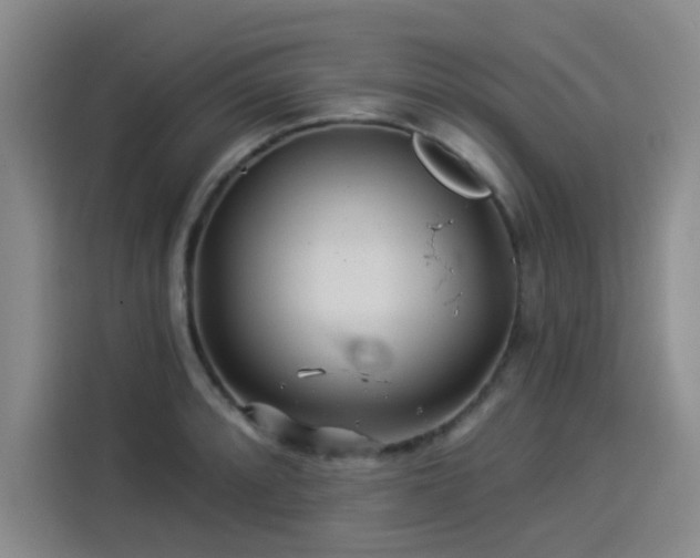 X0000114211088200910161242