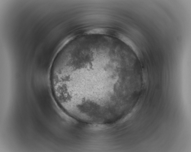 X0000114211090200910161242