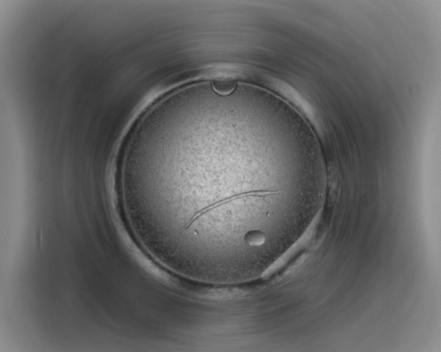 X0000114211091200910161242