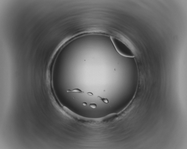 X0000114211092200910161242