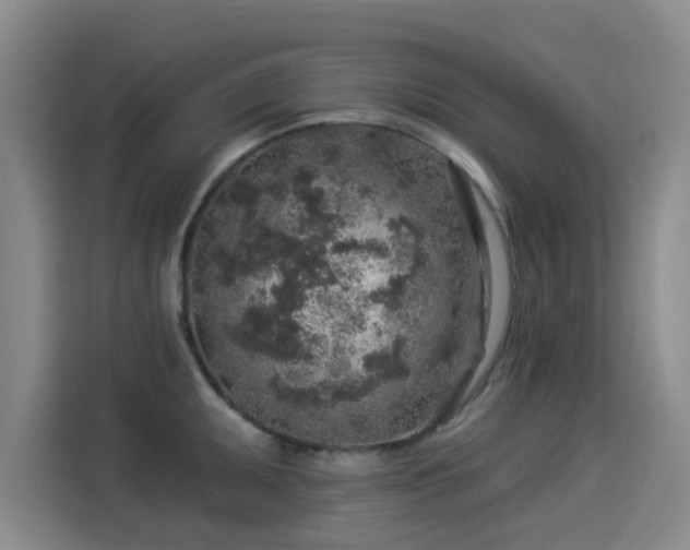 X0000114211095200910161242