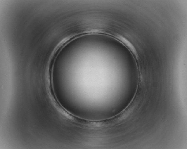 X0000114211096200910161242