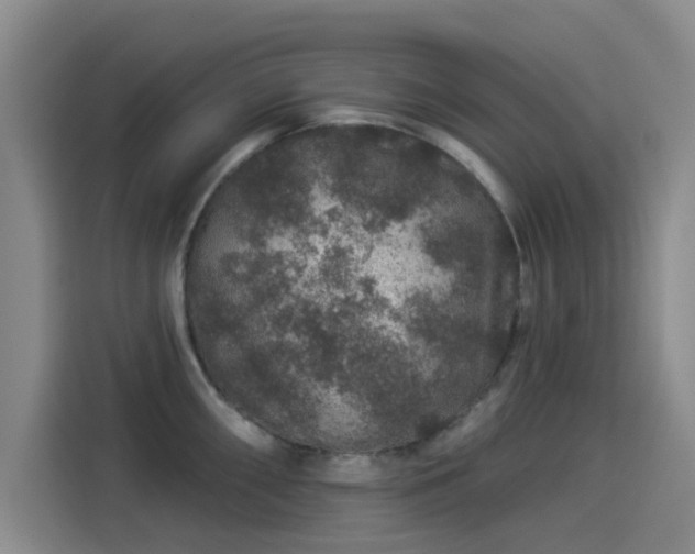 X0000114211098200910161242