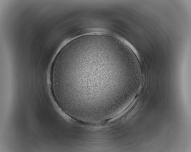 X0000114211099200910161242