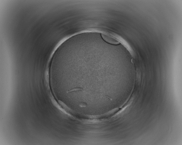 X0000114211100200910161242