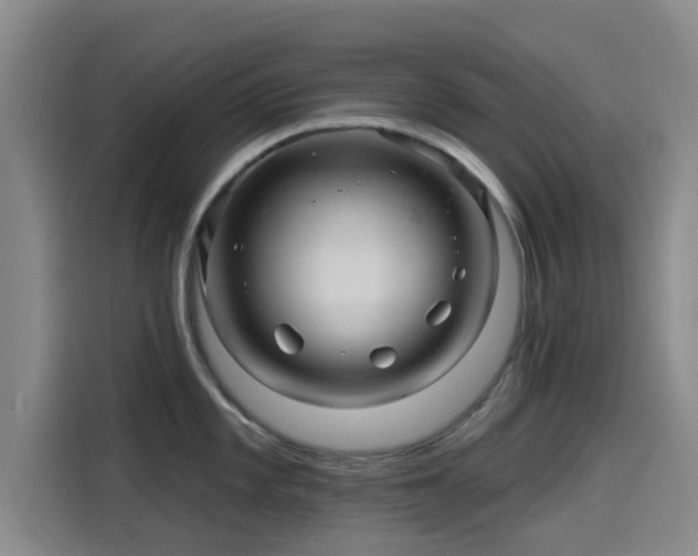 X0000114211101200910161242
